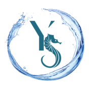Web Logo Full Size Clear Turquoise